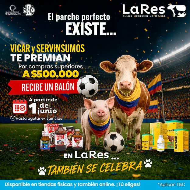 Estilo y Sabor Para Tu Mascota