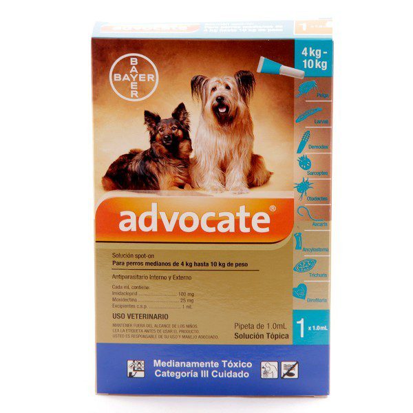 Advocate Perros - Image 3