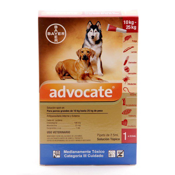Advocate Perros - Image 4