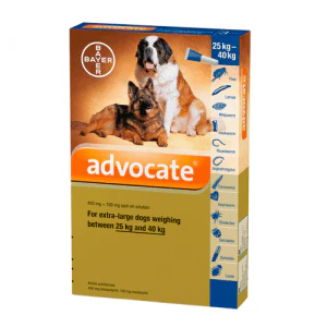 Advocate Perros - Image 5