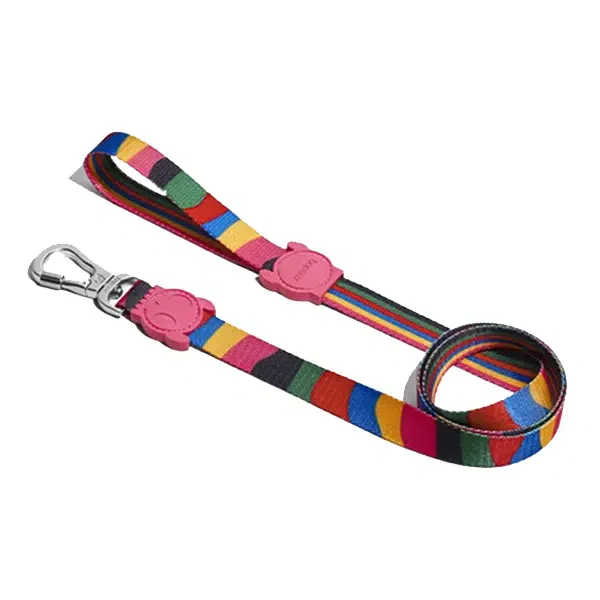 Chroma Leash