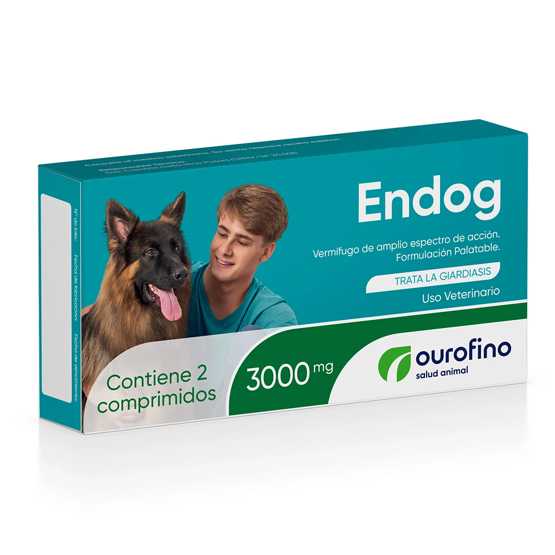 Endog x 4 tab - Image 2