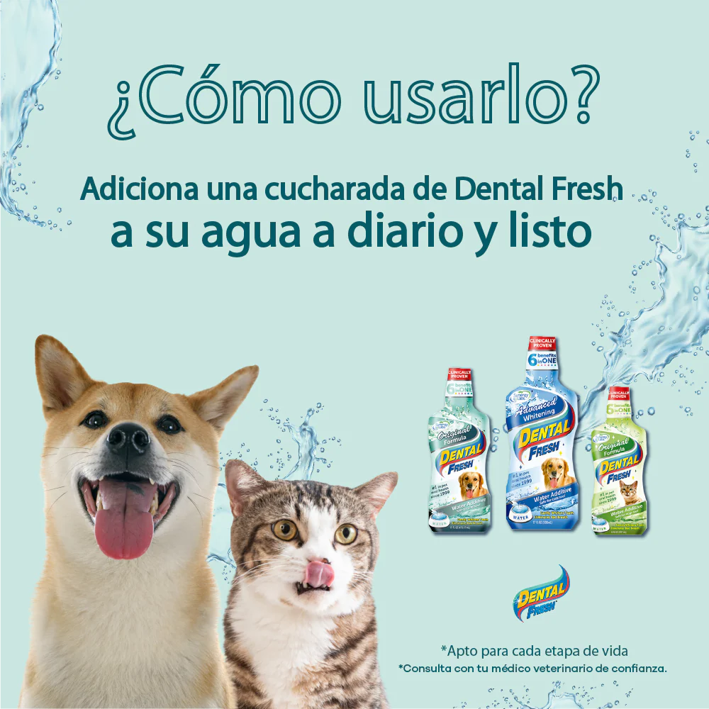 Enjuague Bucal Para Gato Dental Fresh Original Cat x 8 oz - Image 4