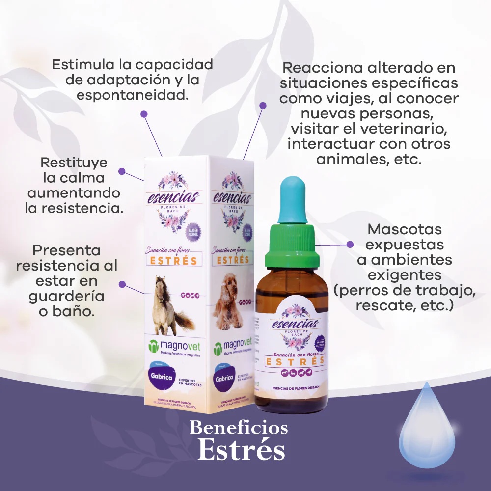 Esencia Floral Estrés Gotas x 30 ml - Image 2