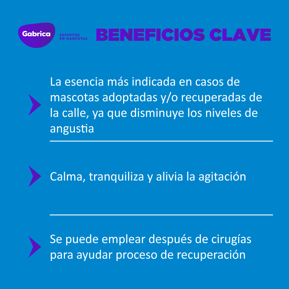 Esencia Floral Rescate Gotas x 30 ml - Image 4