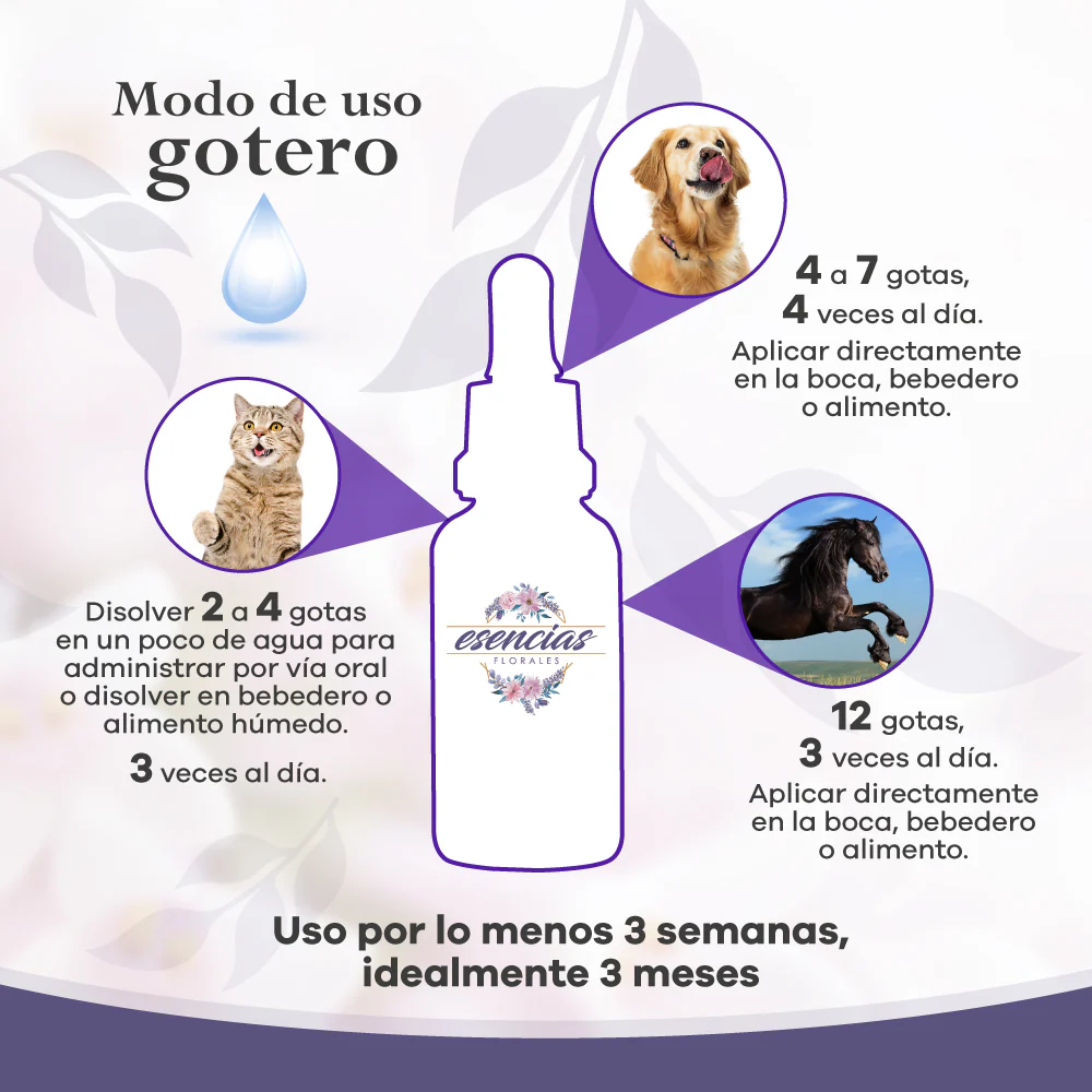 Esencias Florales Perros Senior x 30 ml - Image 3