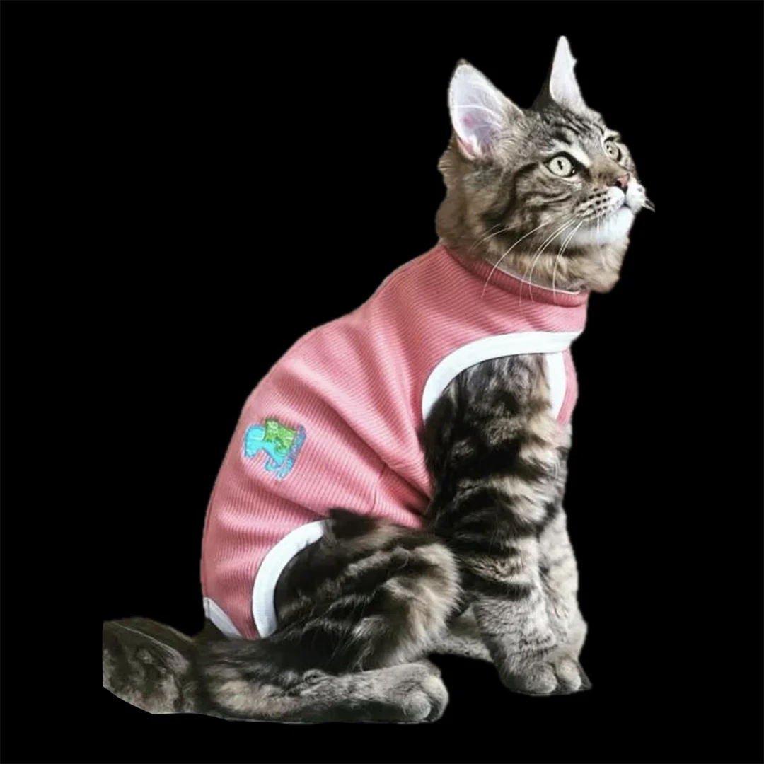 Fajas Post Quirúrgicas para Perros y Gatos - Image 3