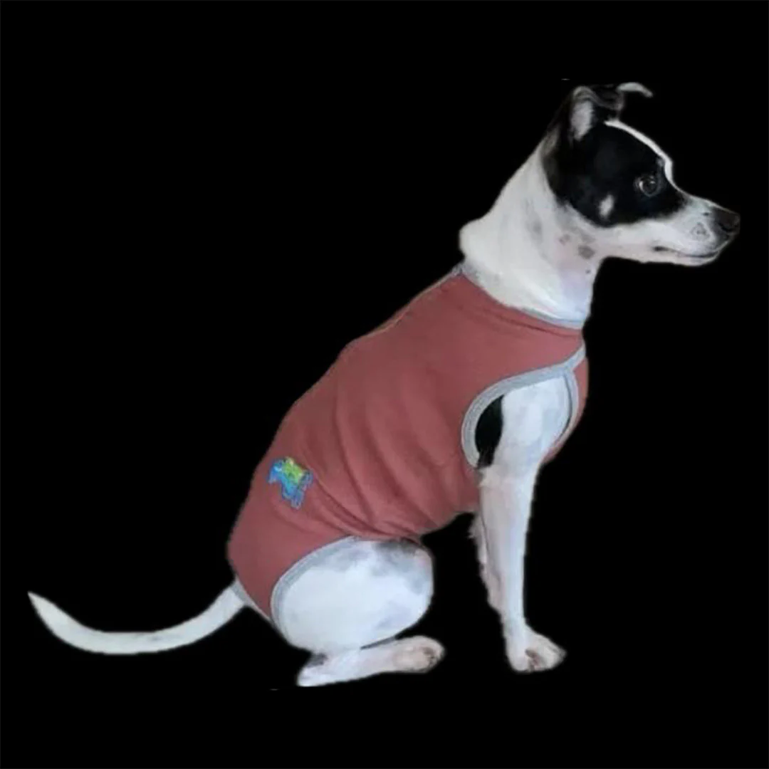 Fajas Post Quirúrgicas para Perros y Gatos - Image 4