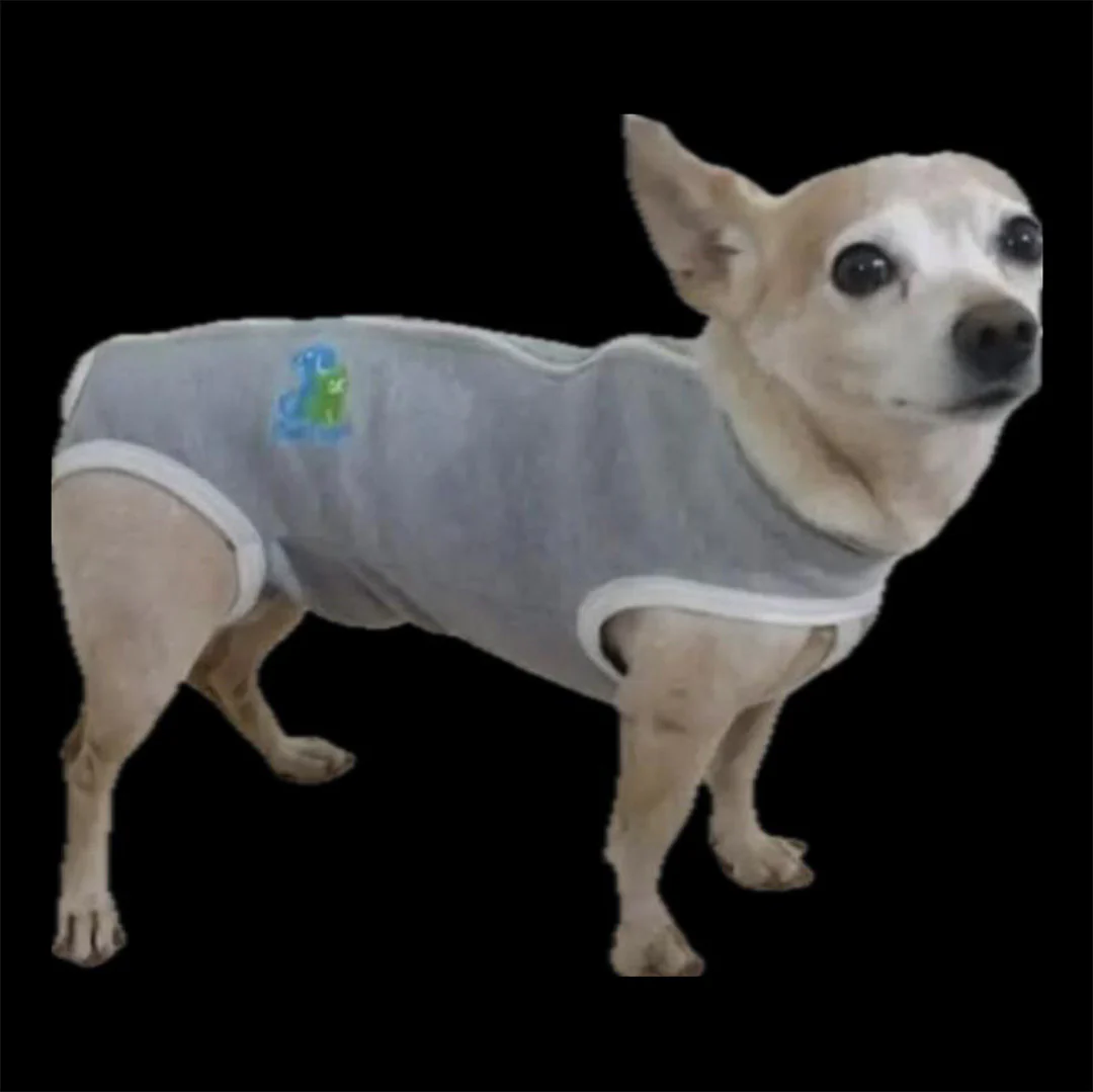 Fajas Post Quirúrgicas para Perros y Gatos - Image 5