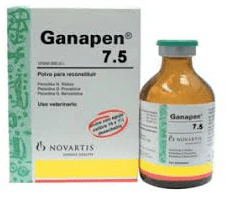 Ganapen inyectable - Image 2