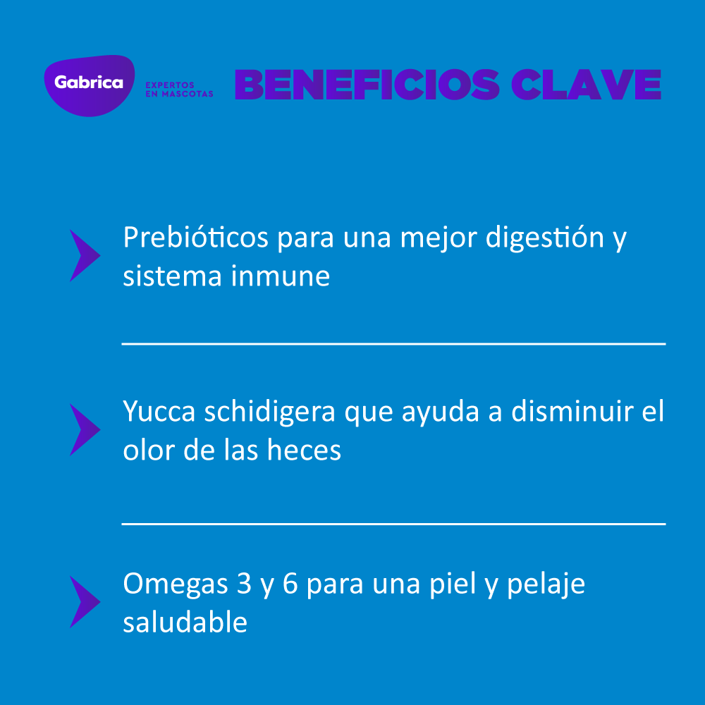 Guaumor Comida Para Perro Adulto Razas Medianas Y Grandes - Image 2