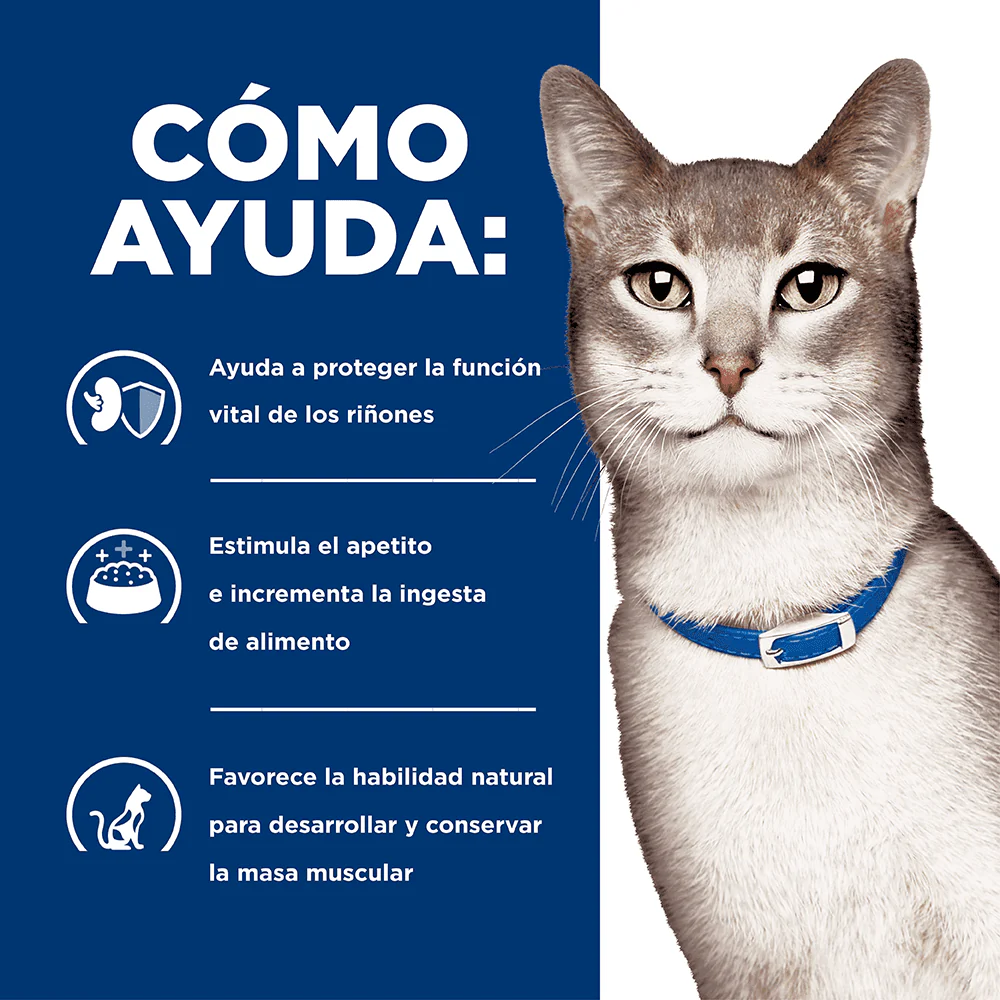 Hills Comida para Gato Prescription Diet Bienestar Renal K/D Pollo x 4 lbs - Image 2