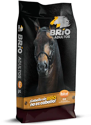 Italcol Brio Caballos Adultos x 40 kg