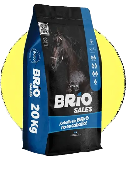 Italcol Brio Sales - Image 2