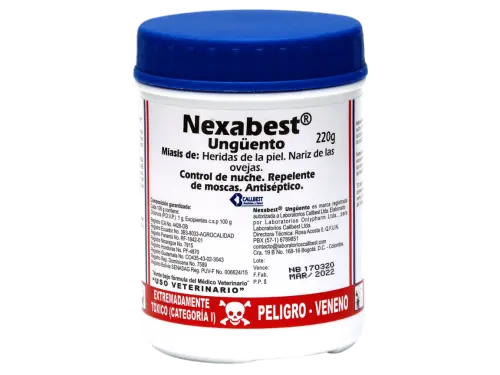 NEXABEST - Image 2