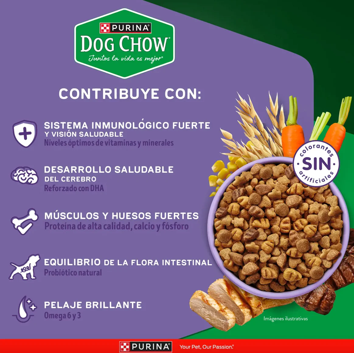 Purina® Dog Chow® Alimento para Perro Cachorros Gran Comienzo® Minis y Pequeños - Image 3