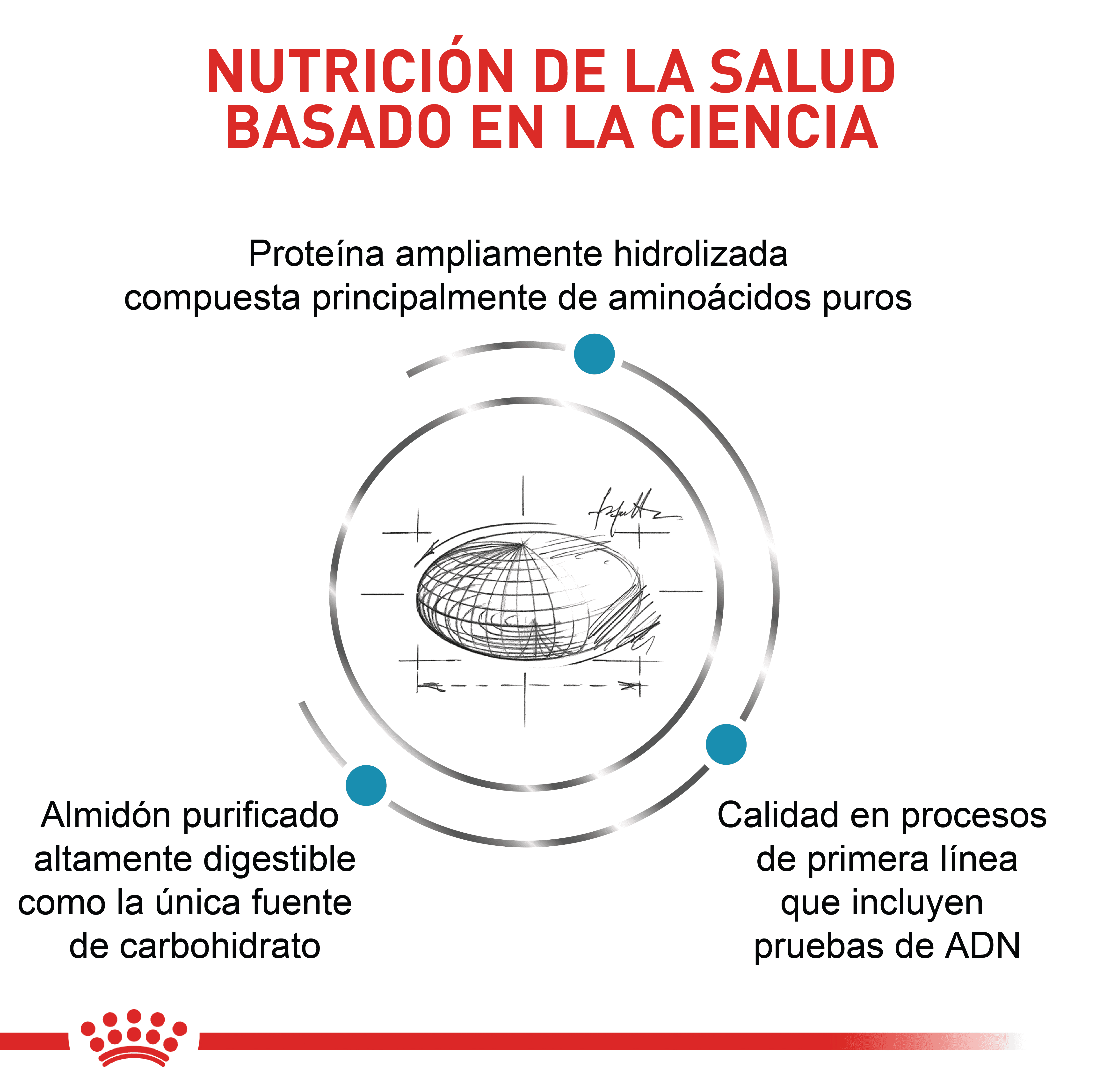 Royal Canin Anallergenic Perro x 3 kg - Image 4