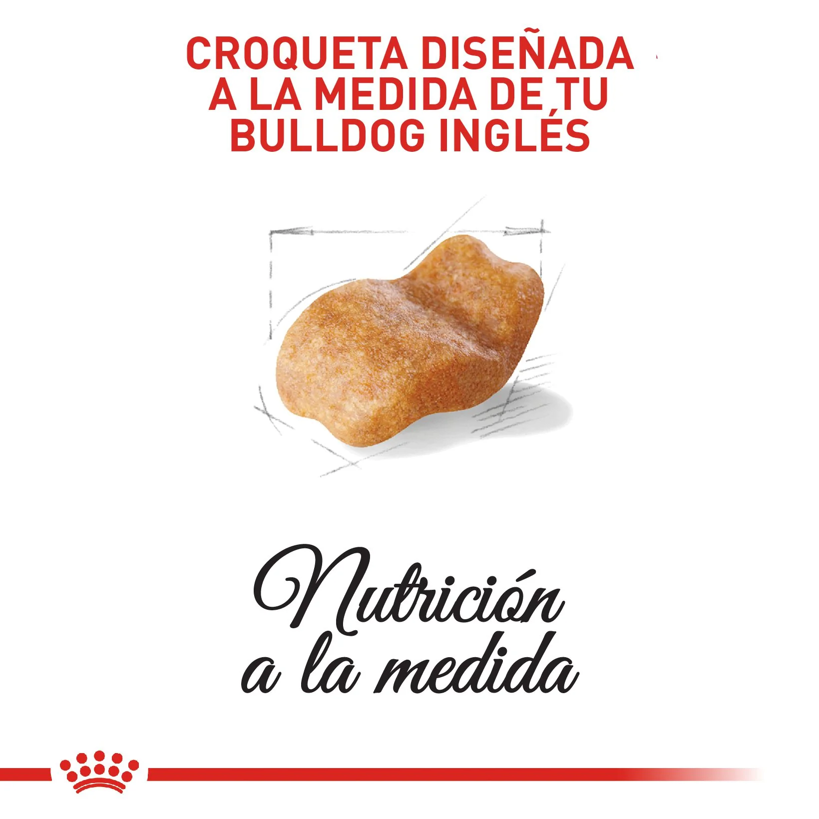 Royal Canin Bulldog Inglés Adulto - Image 3