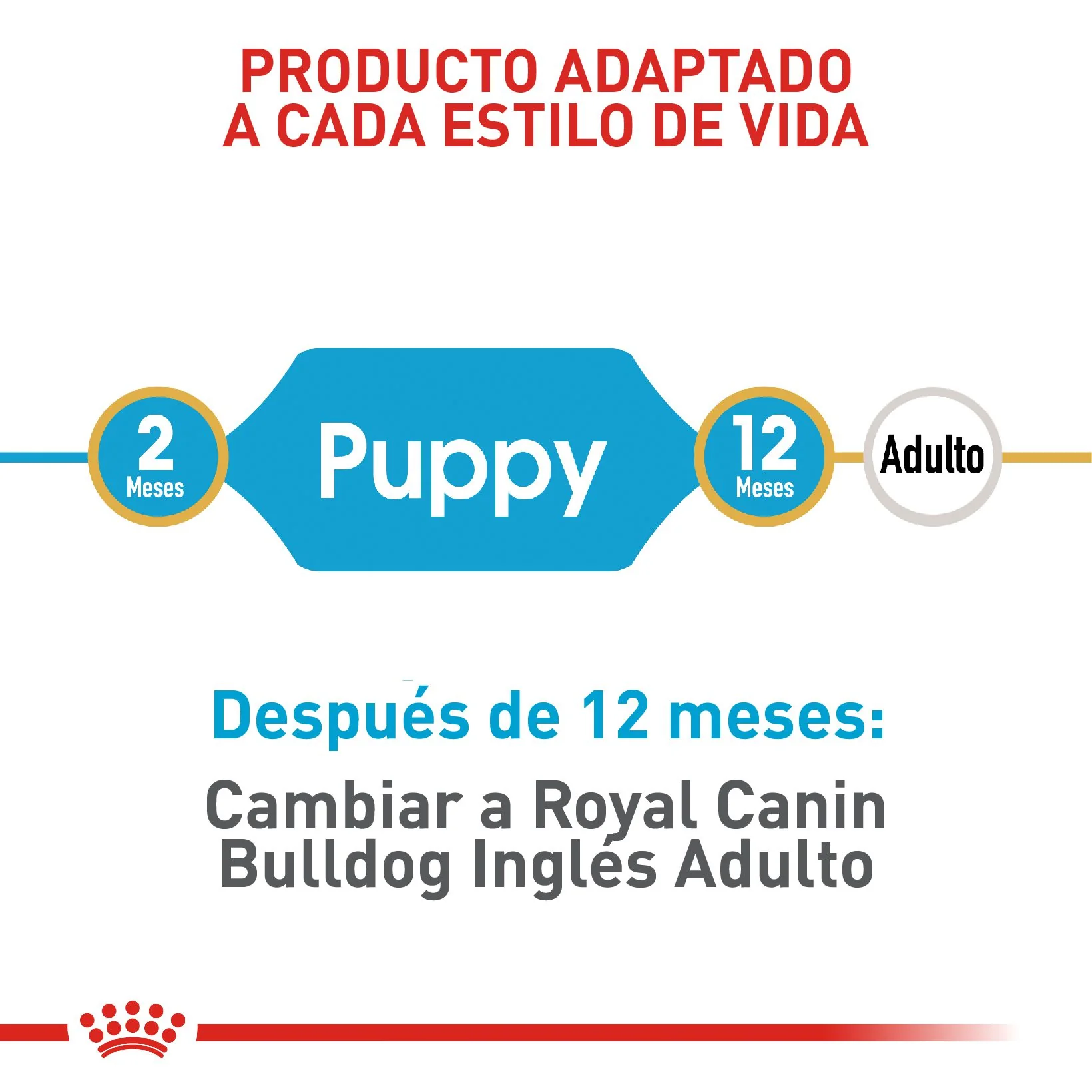 Royal Canin Bulldog Inglés Cachorro - Image 5