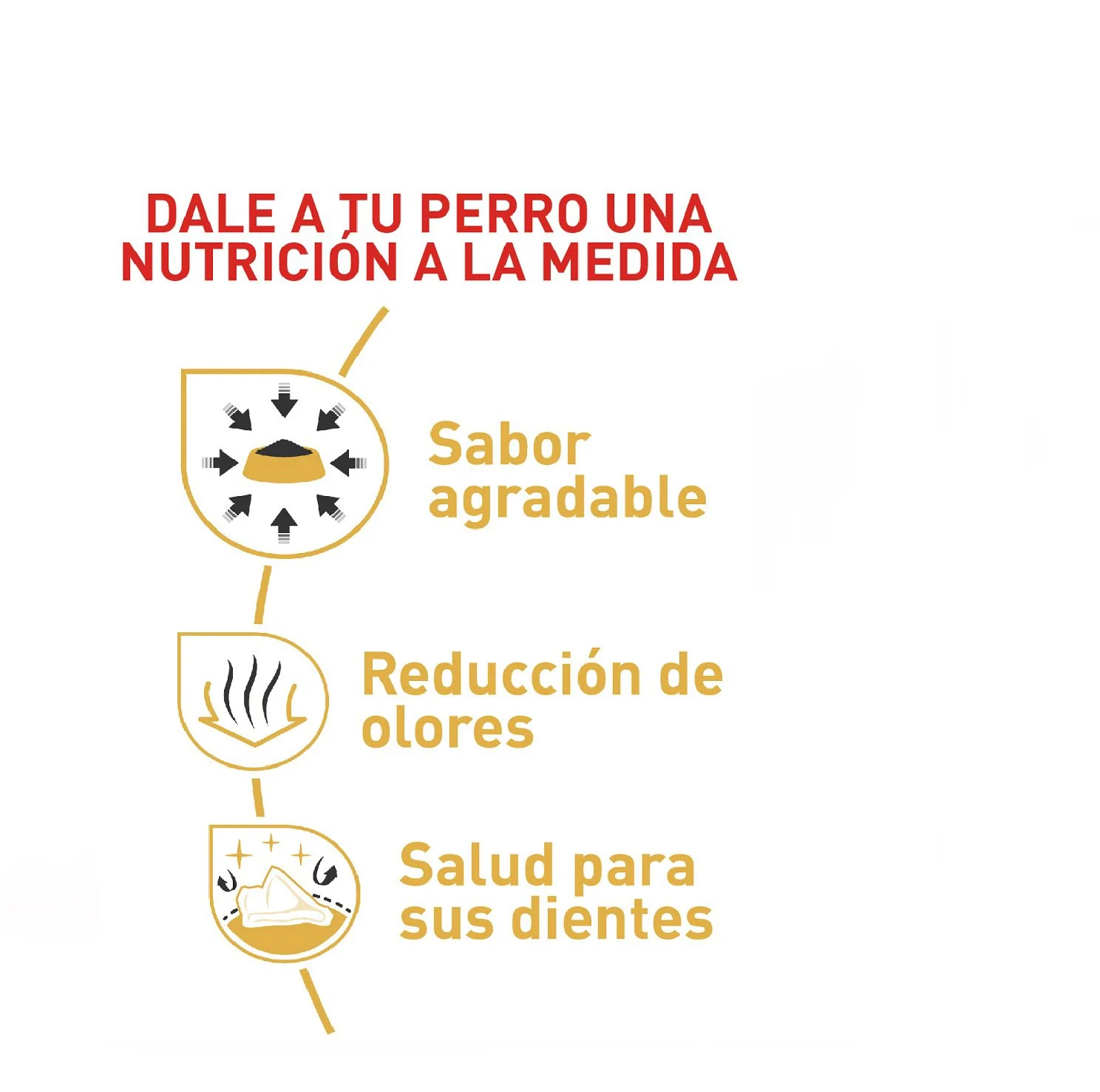 Royal Canin Chihuahua Adulto - Image 4