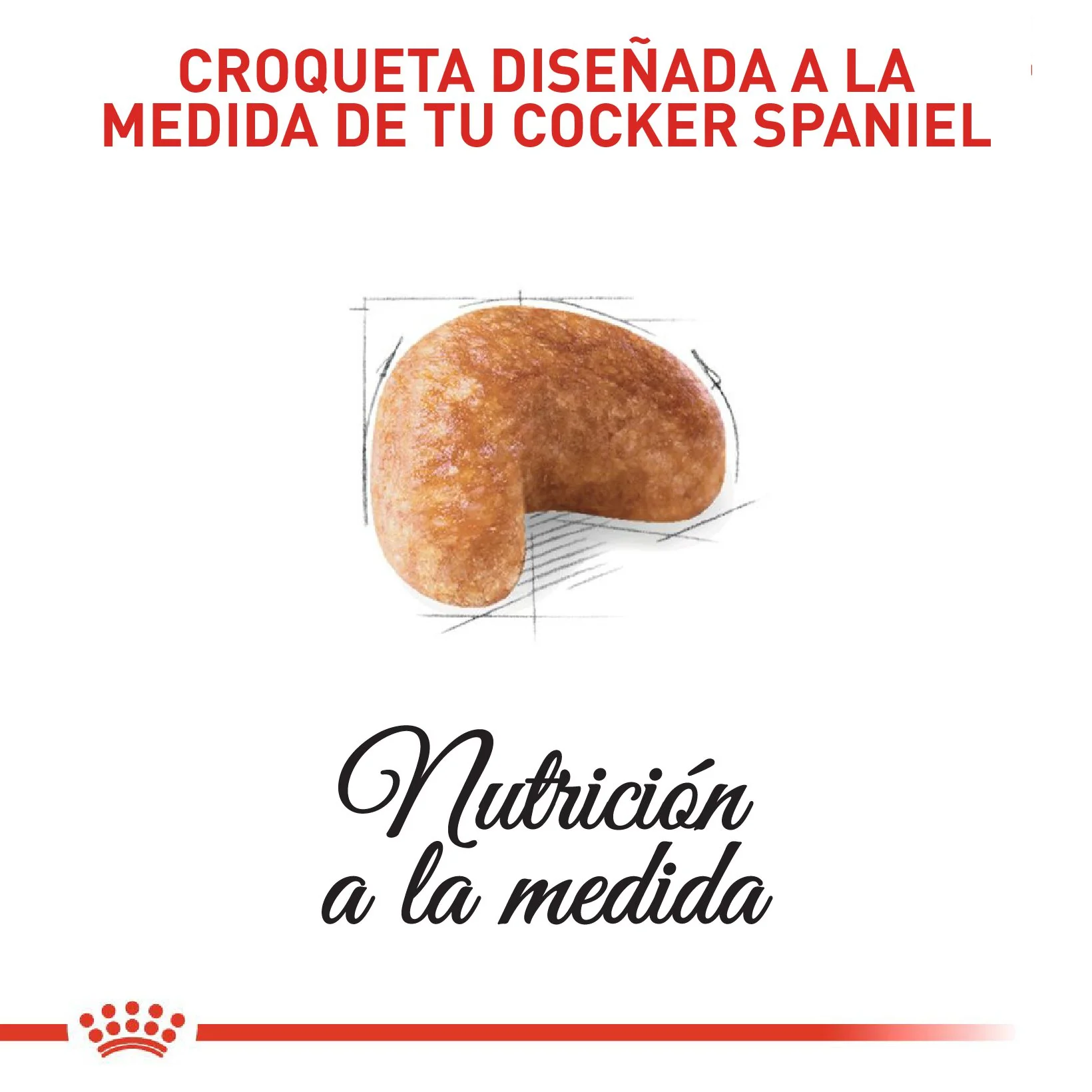 Royal canin cocker adulto 3 kg - Image 3