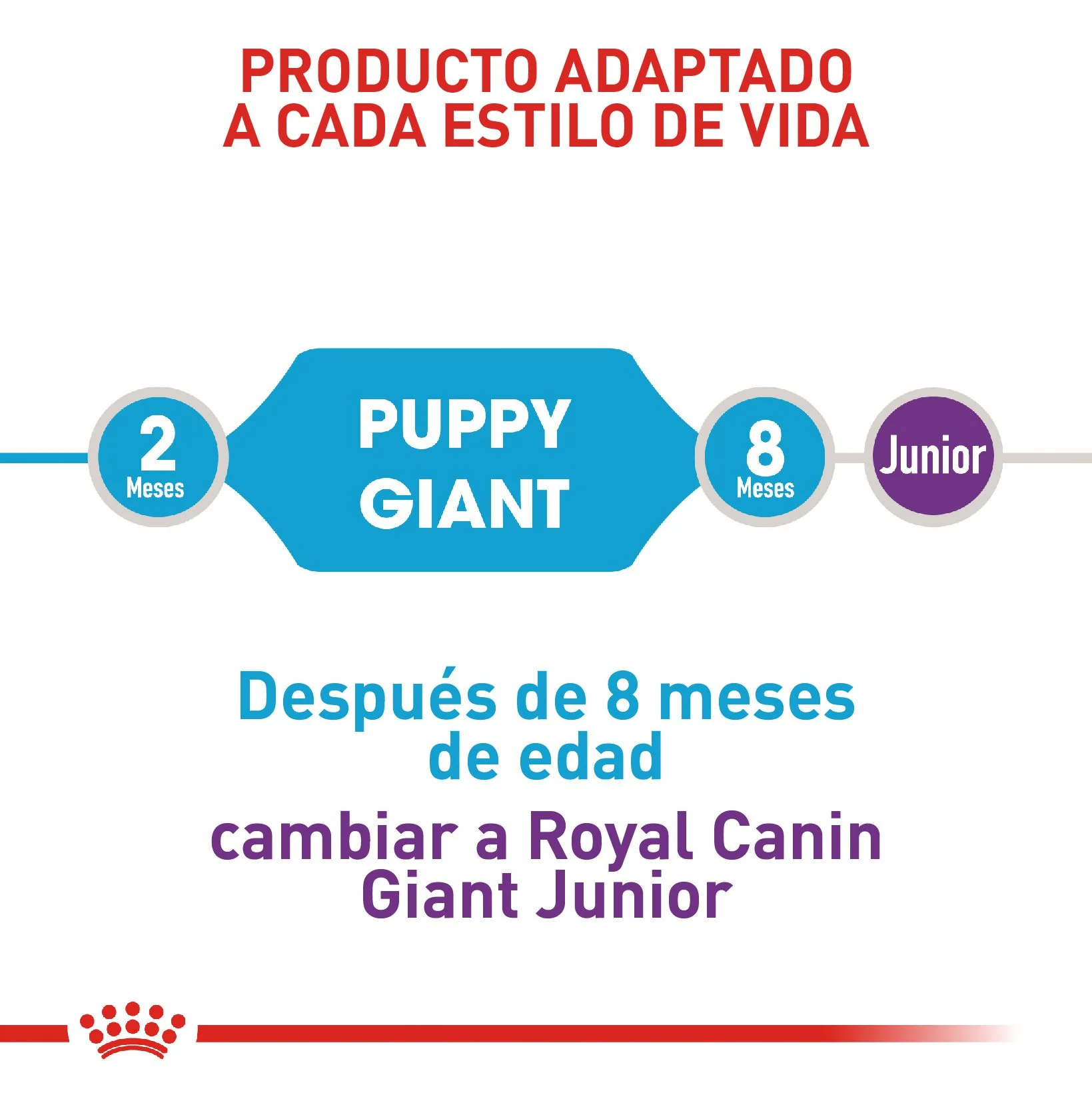 Royal Canin Giant Cachorro x 15 kg - Image 4