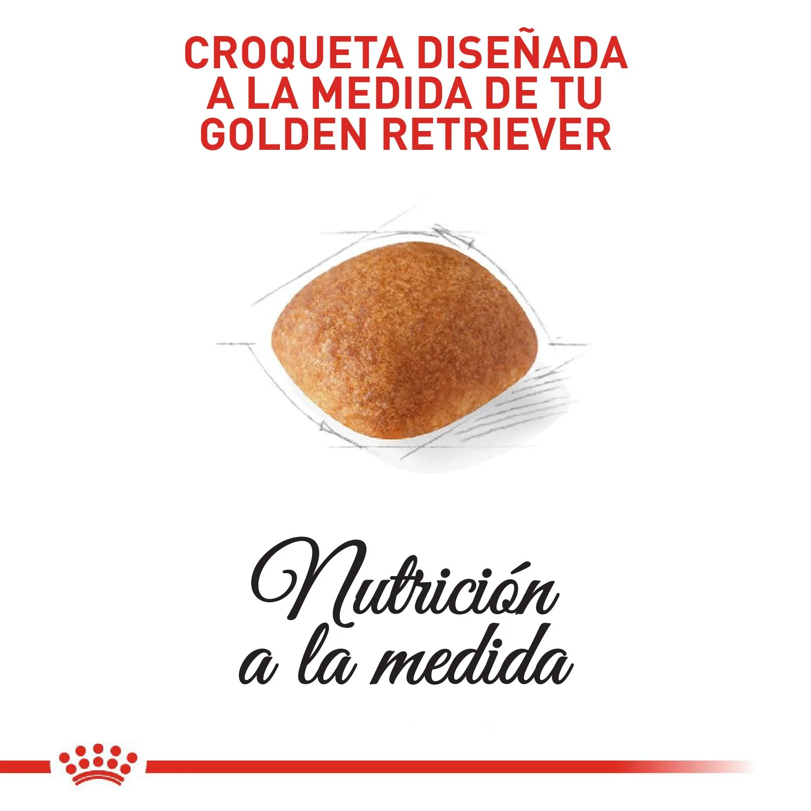 Royal Canin Golden Retriever Adulto x 13.6 kg - Image 3