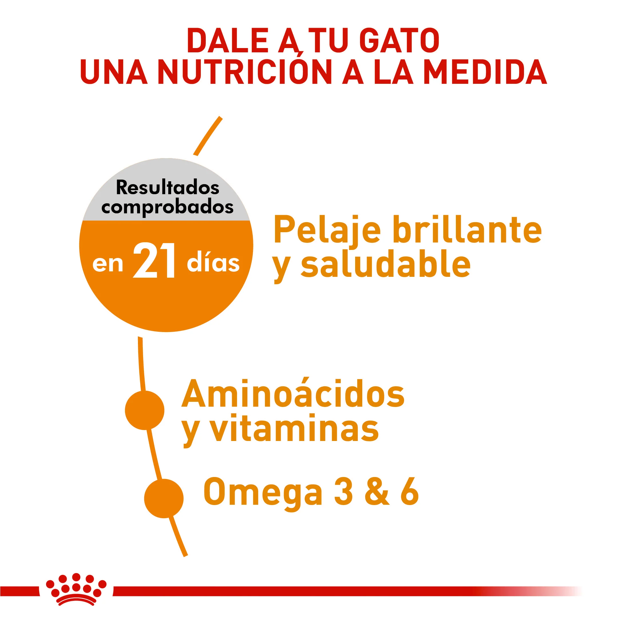Royal Canin Kair  & Skin Care x 2 kg - Image 3