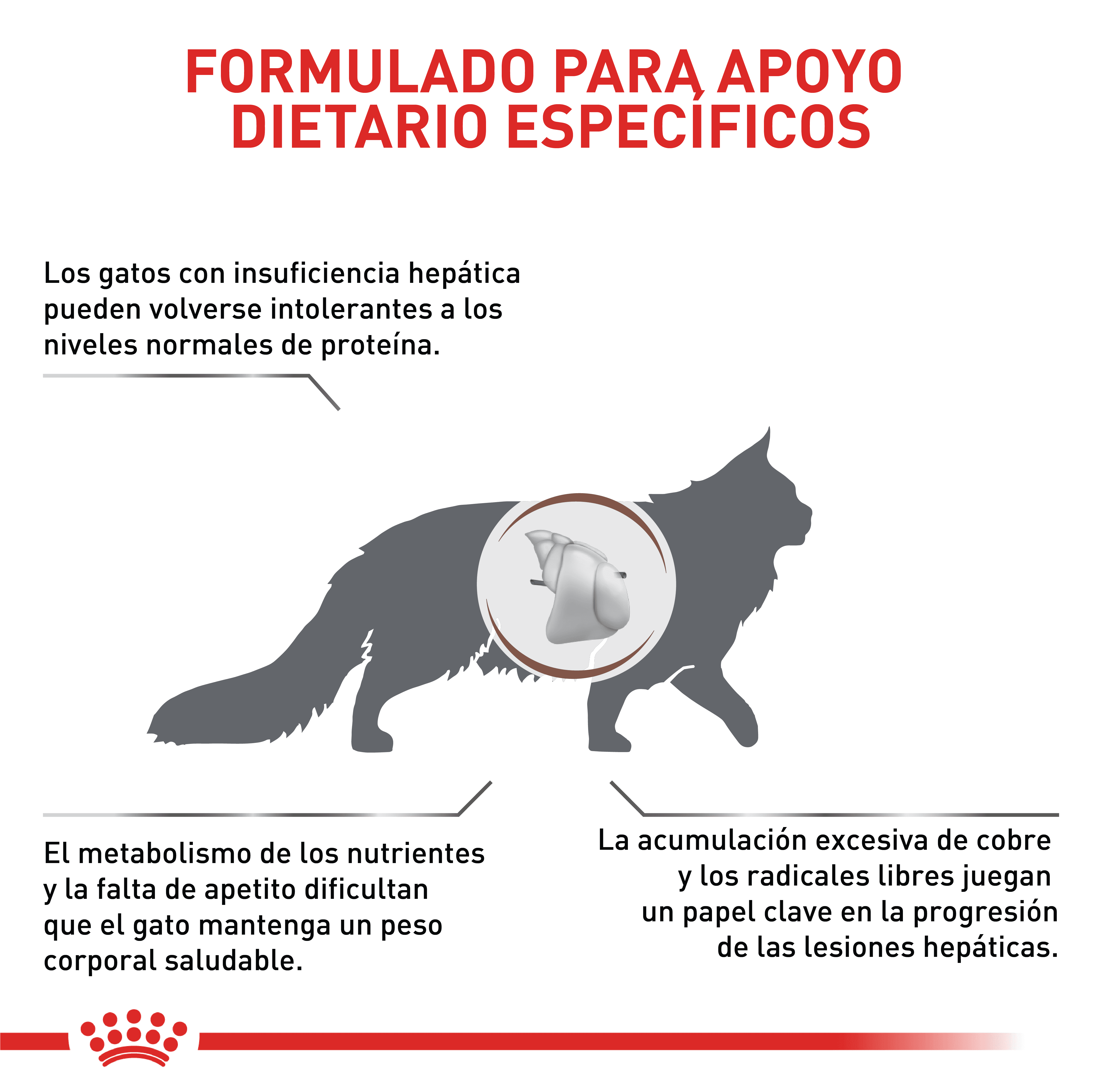 Royal Canin Hepatic Gato x 2 kg - Image 6