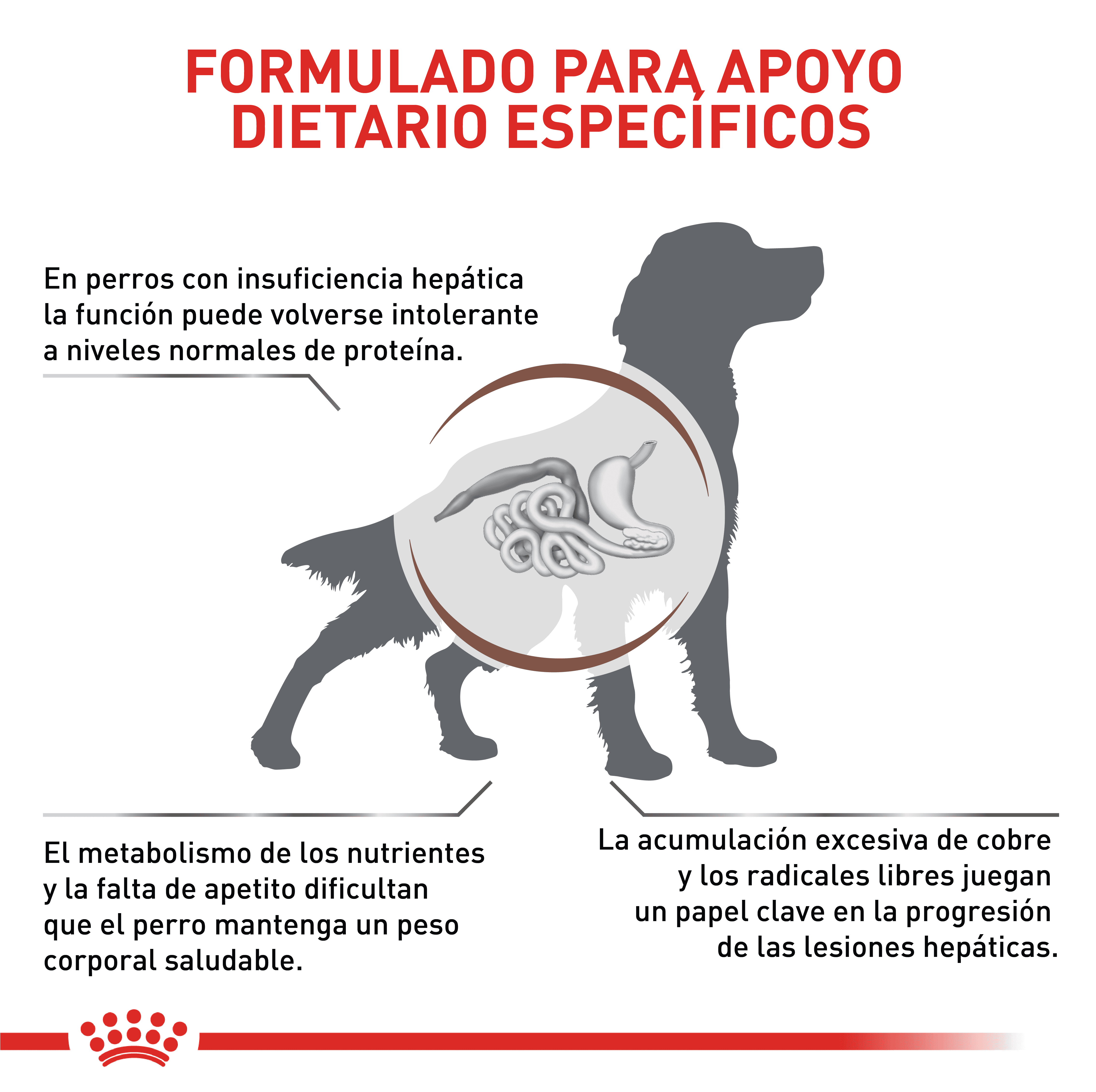 Royal Canin Hepático Perro - Image 6