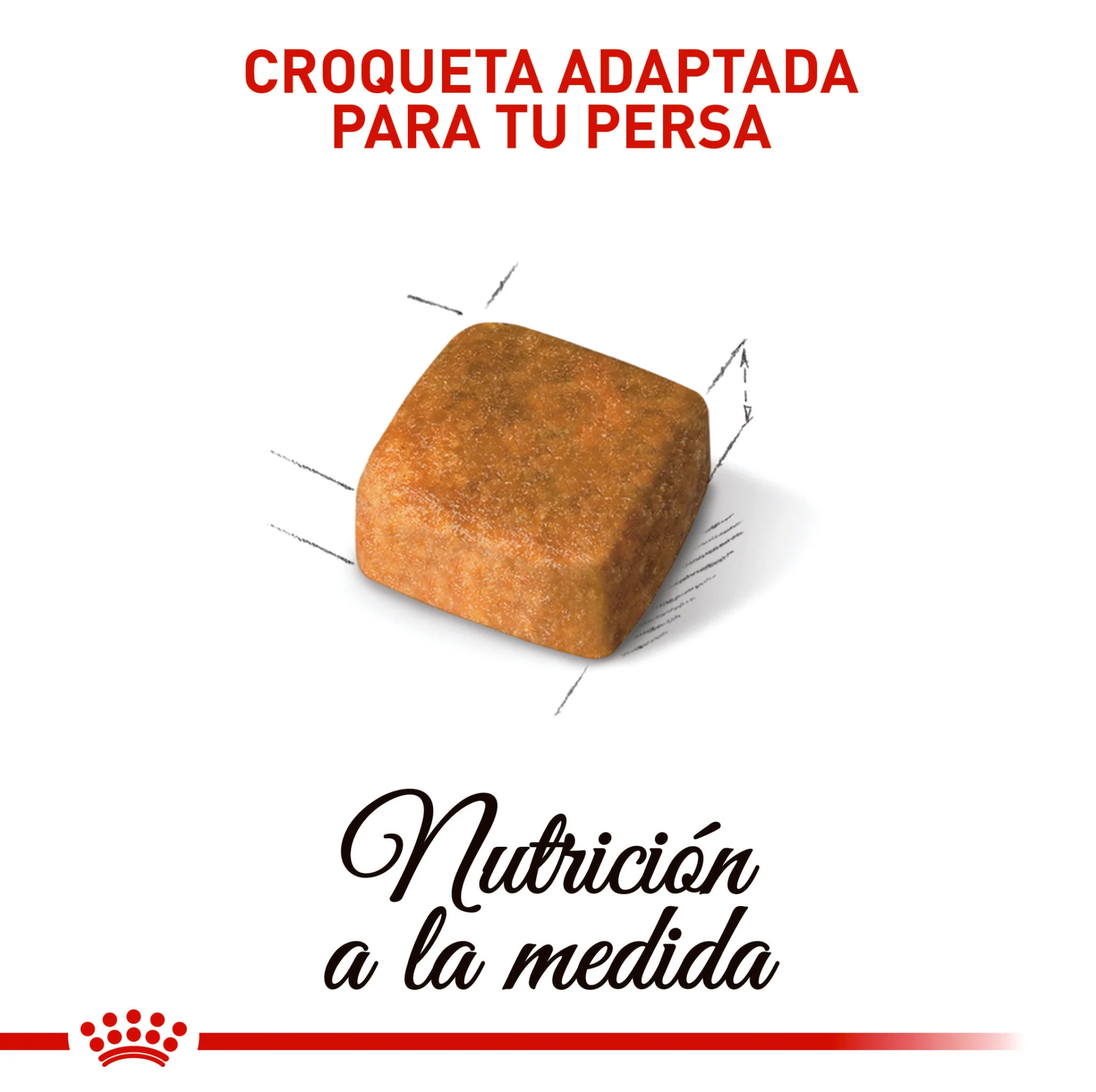 Royal Canin Persa Kitten x 2 kg - Image 3