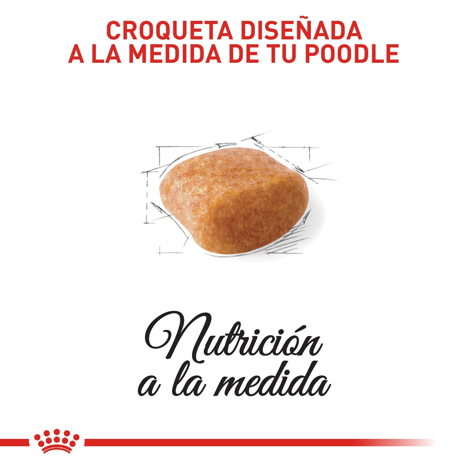 Royal Canin Poodle Adulto x 1.5 kg - Image 3