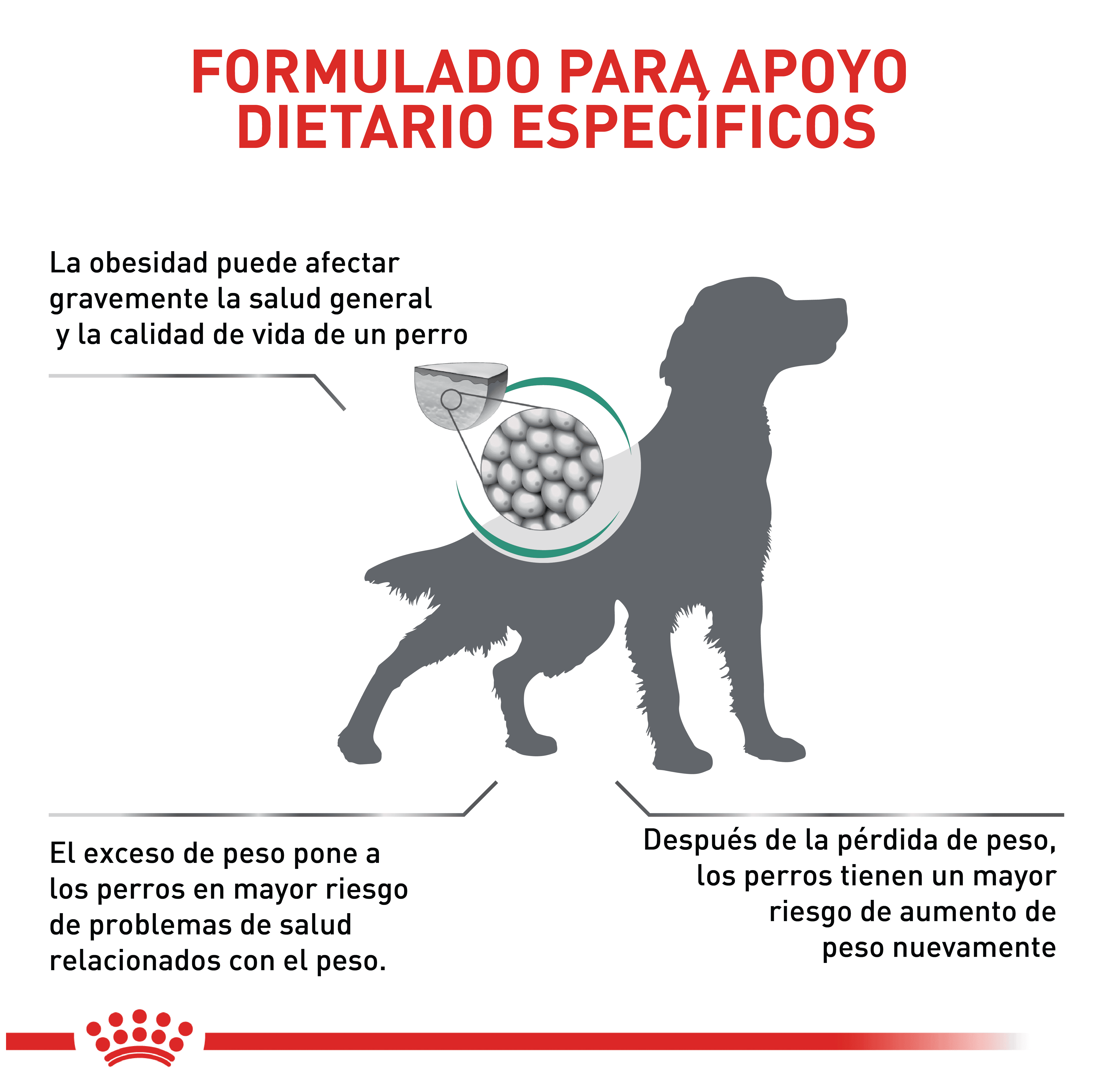 Royal Canin Satiety Control de Peso Perro - Image 4