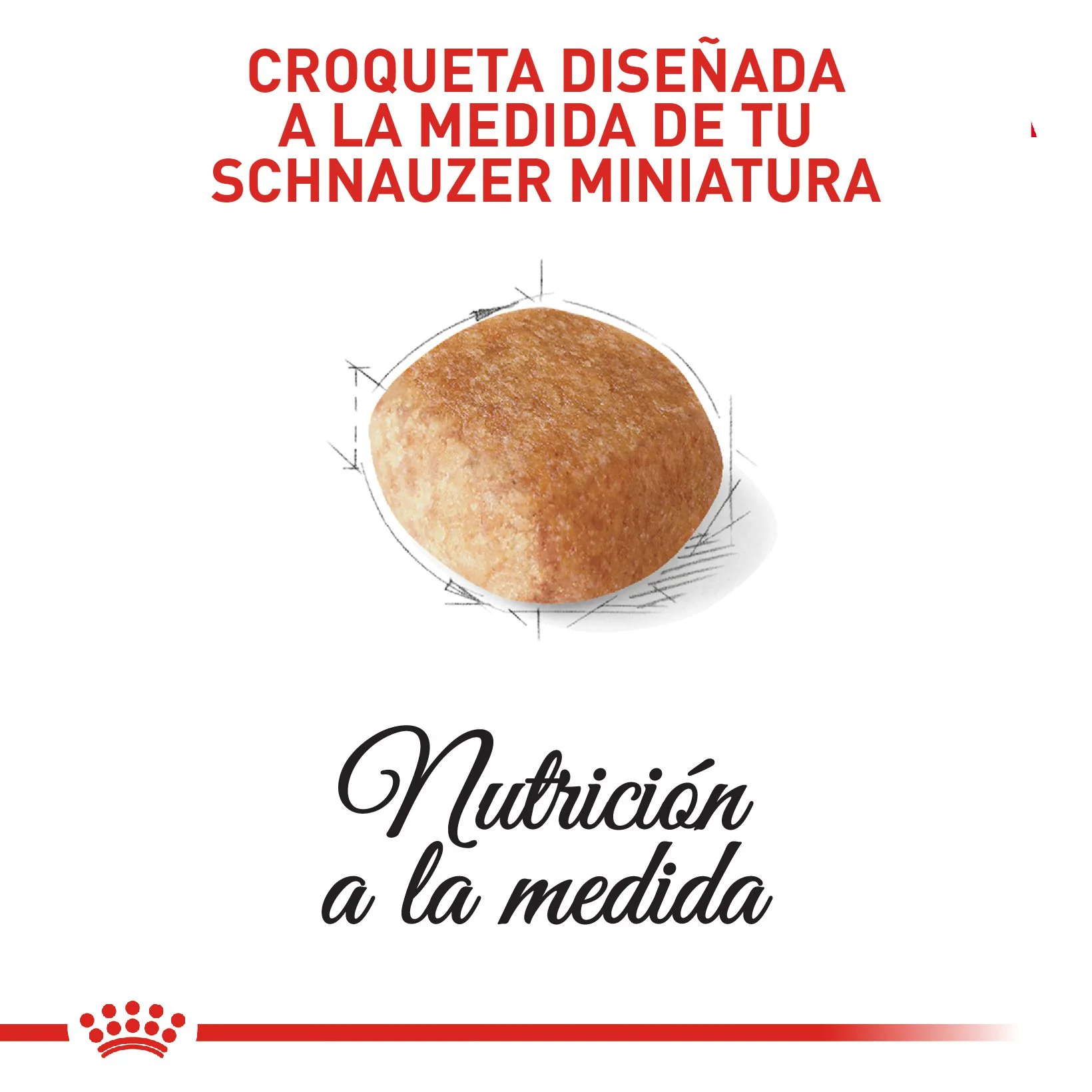 Royal Canin Mini Schnauzer Adulto x 4.5 kg - Image 4