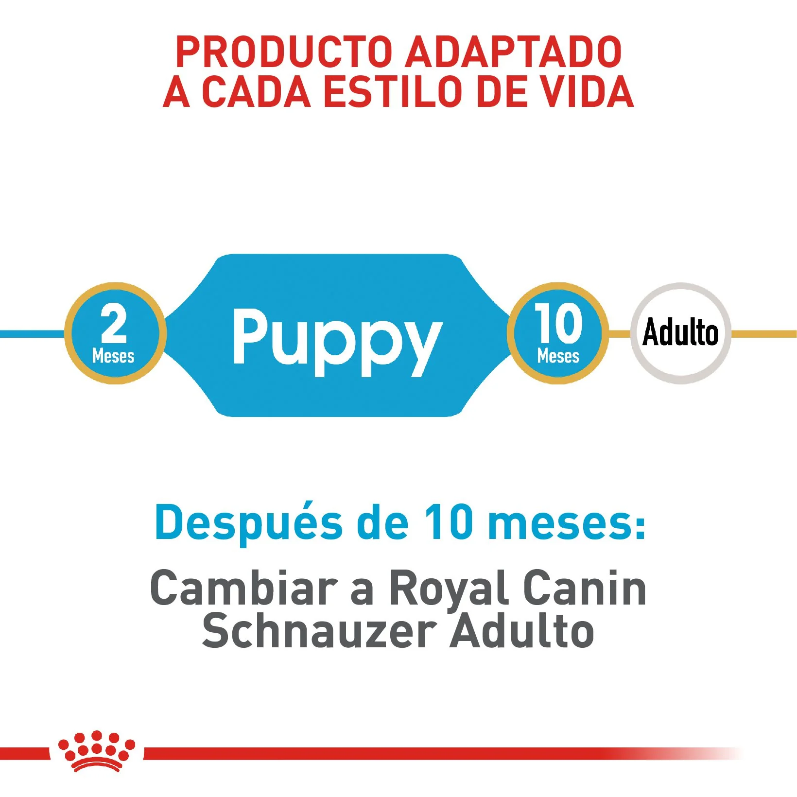 Royal Canin Mini Schnauzer Cachorro x 1.13 kg - Image 3