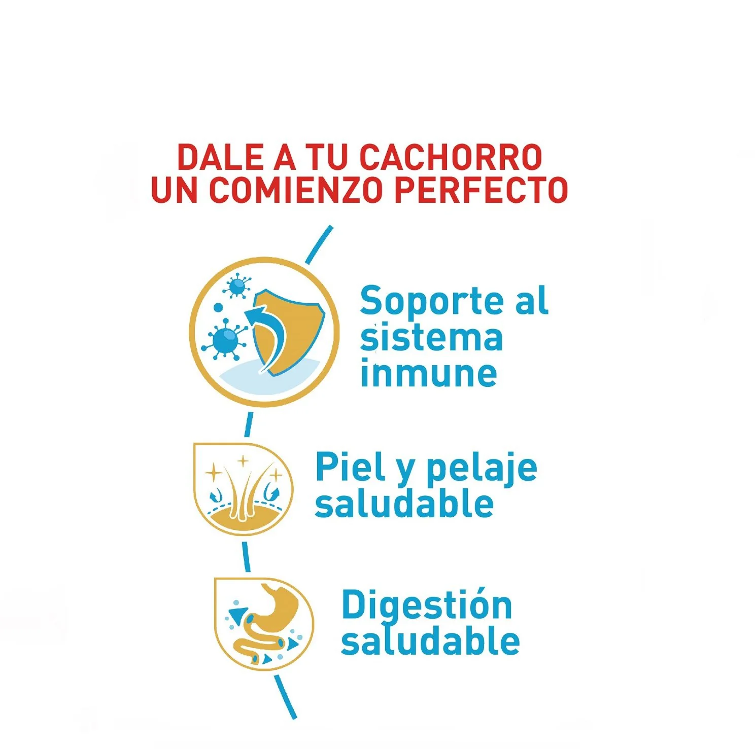 Royal Canin Shih Tzu Cachorro x 1.5 kg - Image 2