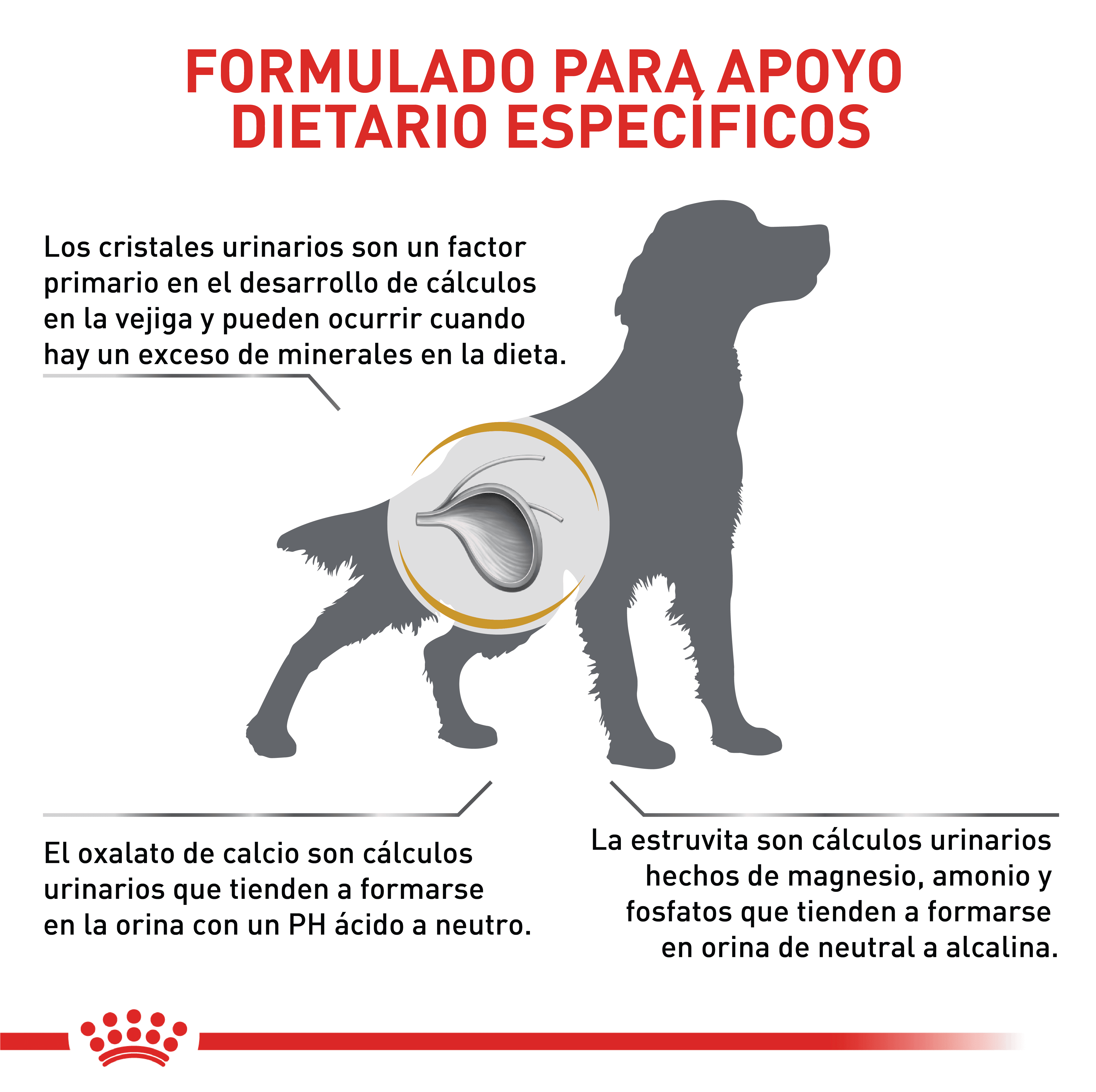 Royal Canin Urinary S/O Perro - Image 3