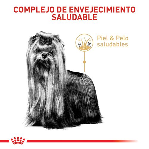 Royal Canin Yorkshire Terrier Adulto 8+ x 1.5 kg - Image 4