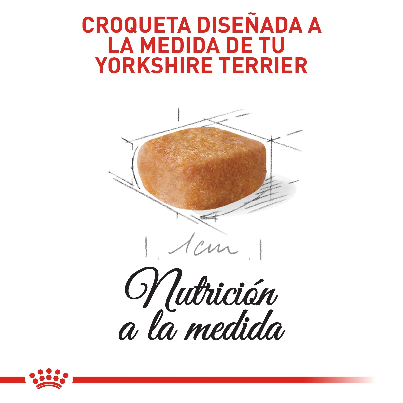 Royal Canin Yorkshire Terrier Cachorro x 1.13 kg - Image 3