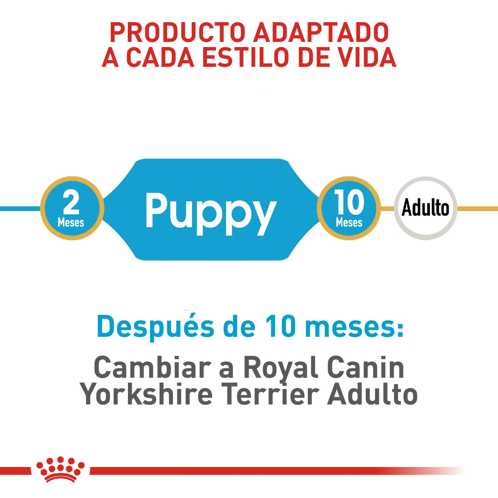 Royal Canin Yorkshire Terrier Cachorro x 1.13 kg - Image 5