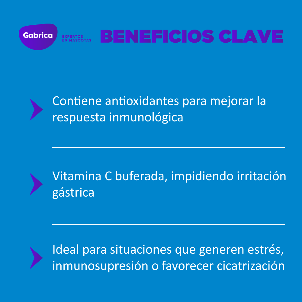 Suplemento Vita-Vet C para Perros y Gatos x 30 ml - Image 4